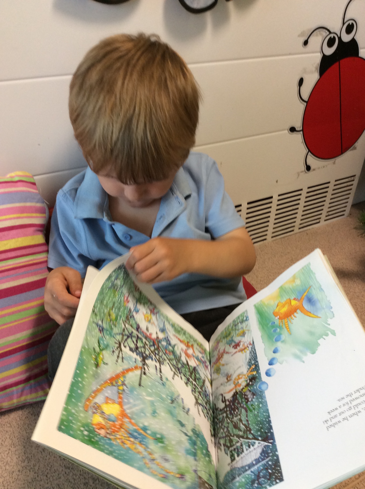 Early Reading and Phonics 3 I's